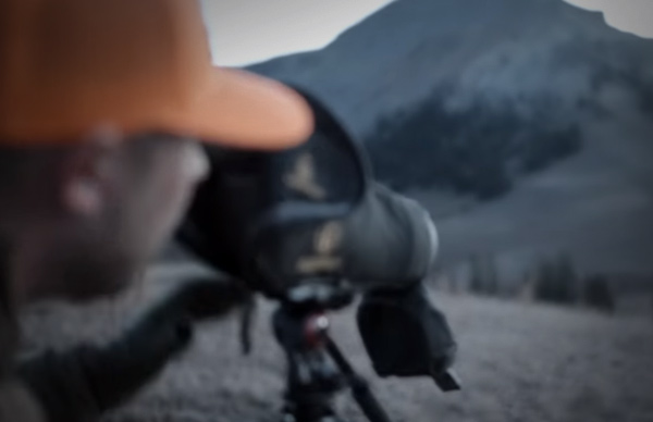 Leupold featured image