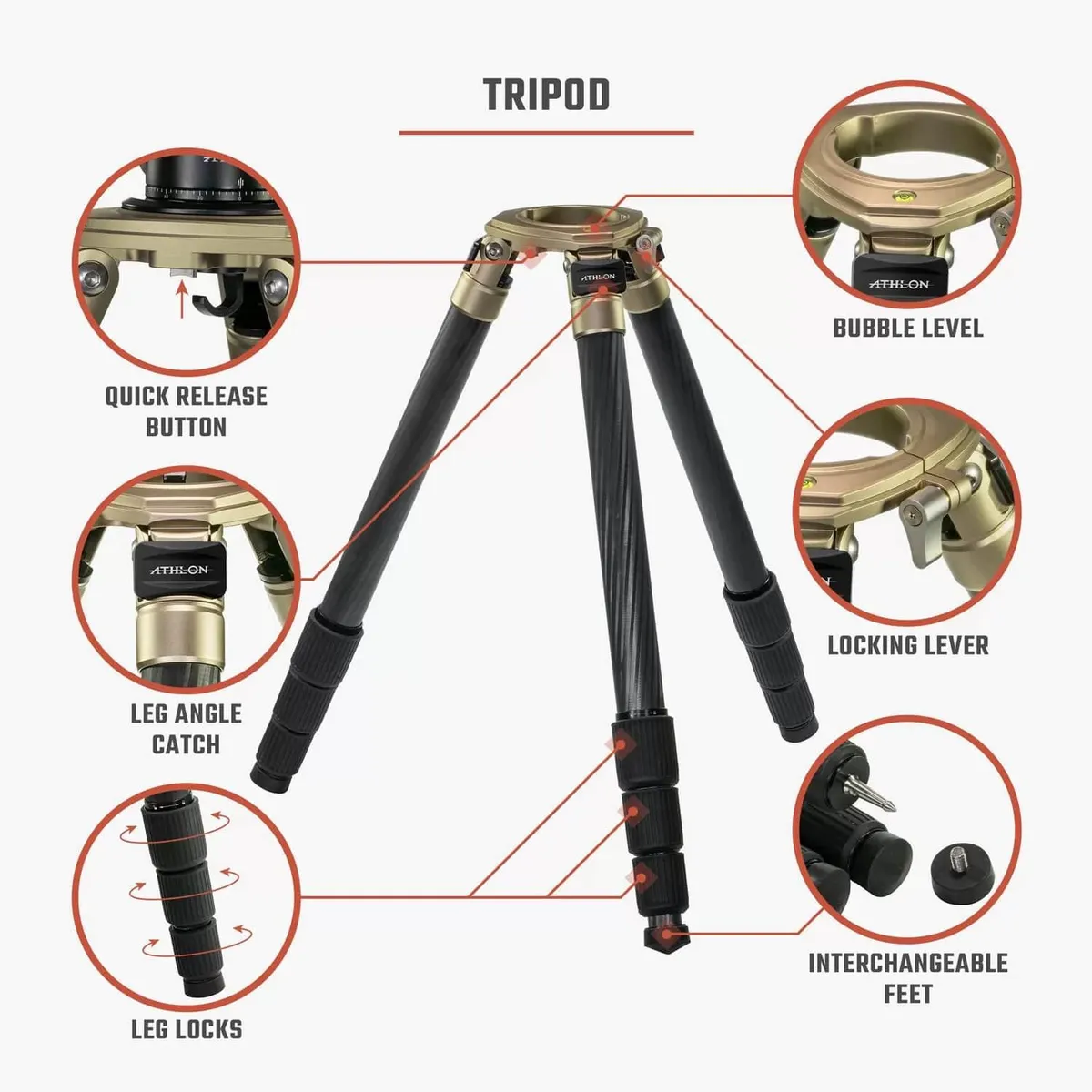 Midas CF29