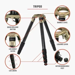 Midas CF29