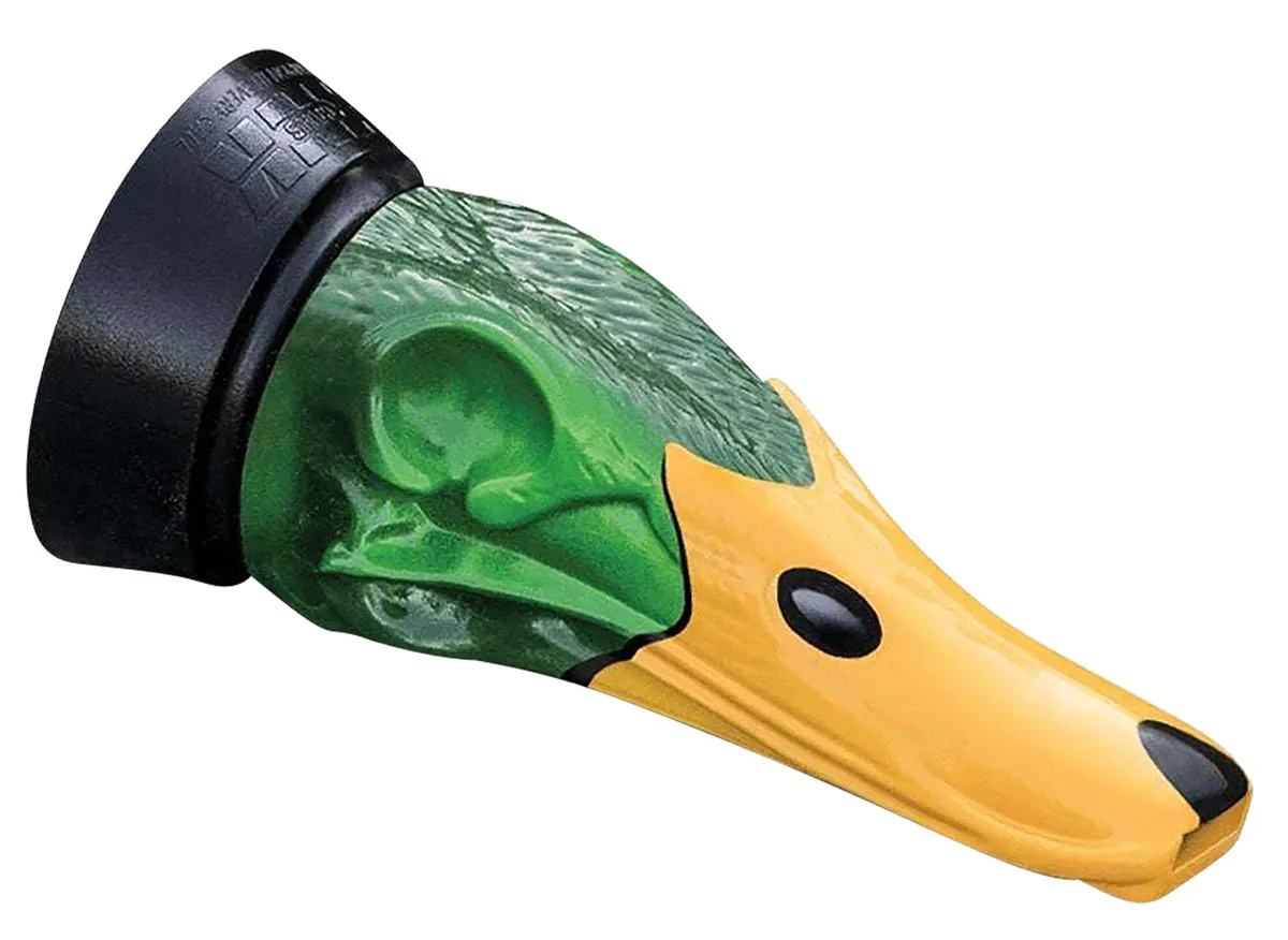 Mallard Drake