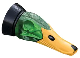 Mallard Drake