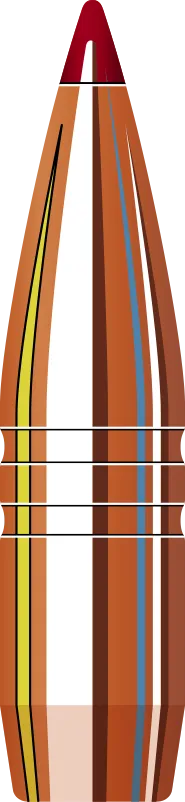 303704