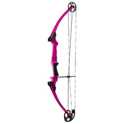 Genesis Compound Bow - Purple