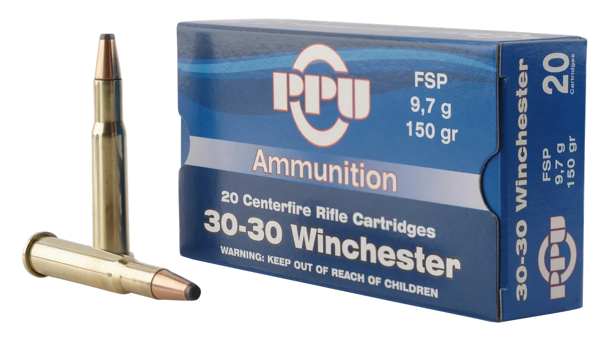 PP30301