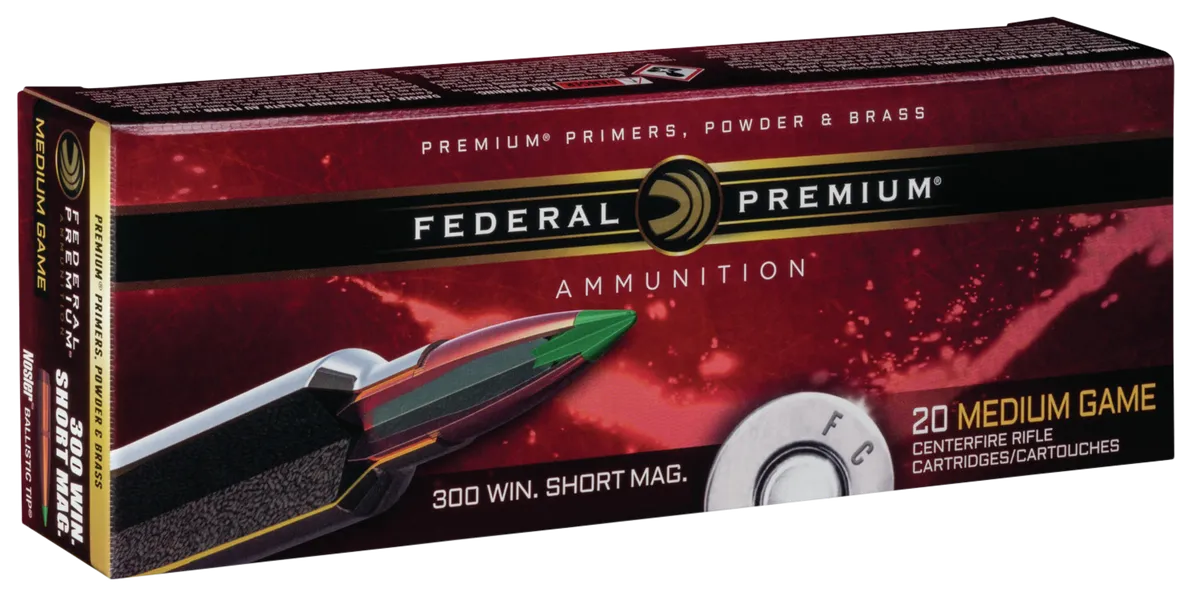 P300WSMB