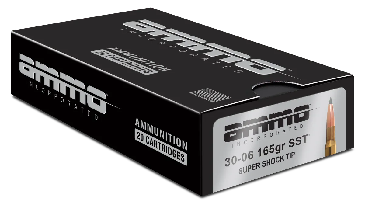 3006165SSTA20
