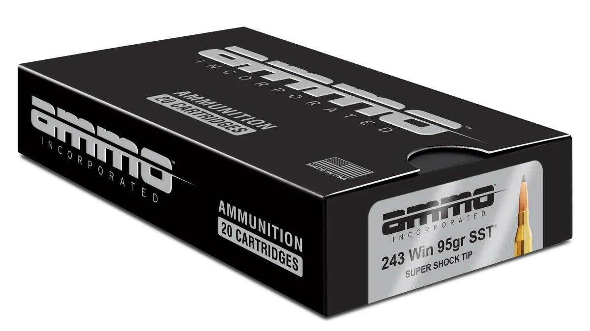 243W095SSTA20