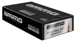 3006165SSTA20