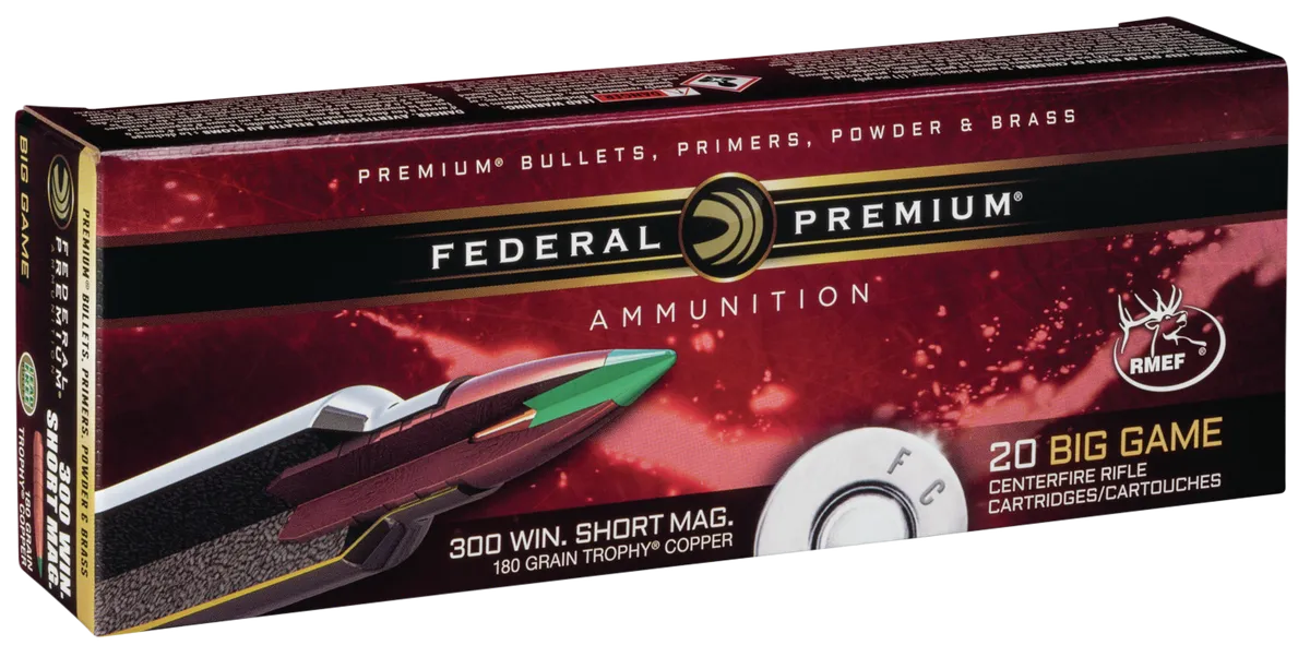 P300WSMTC1