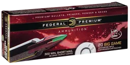 P300WSMTC1