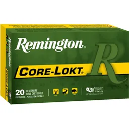 28313