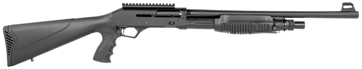 DSF12