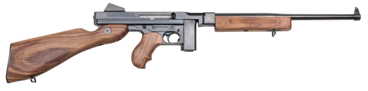 T110S
