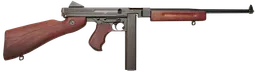 TM1