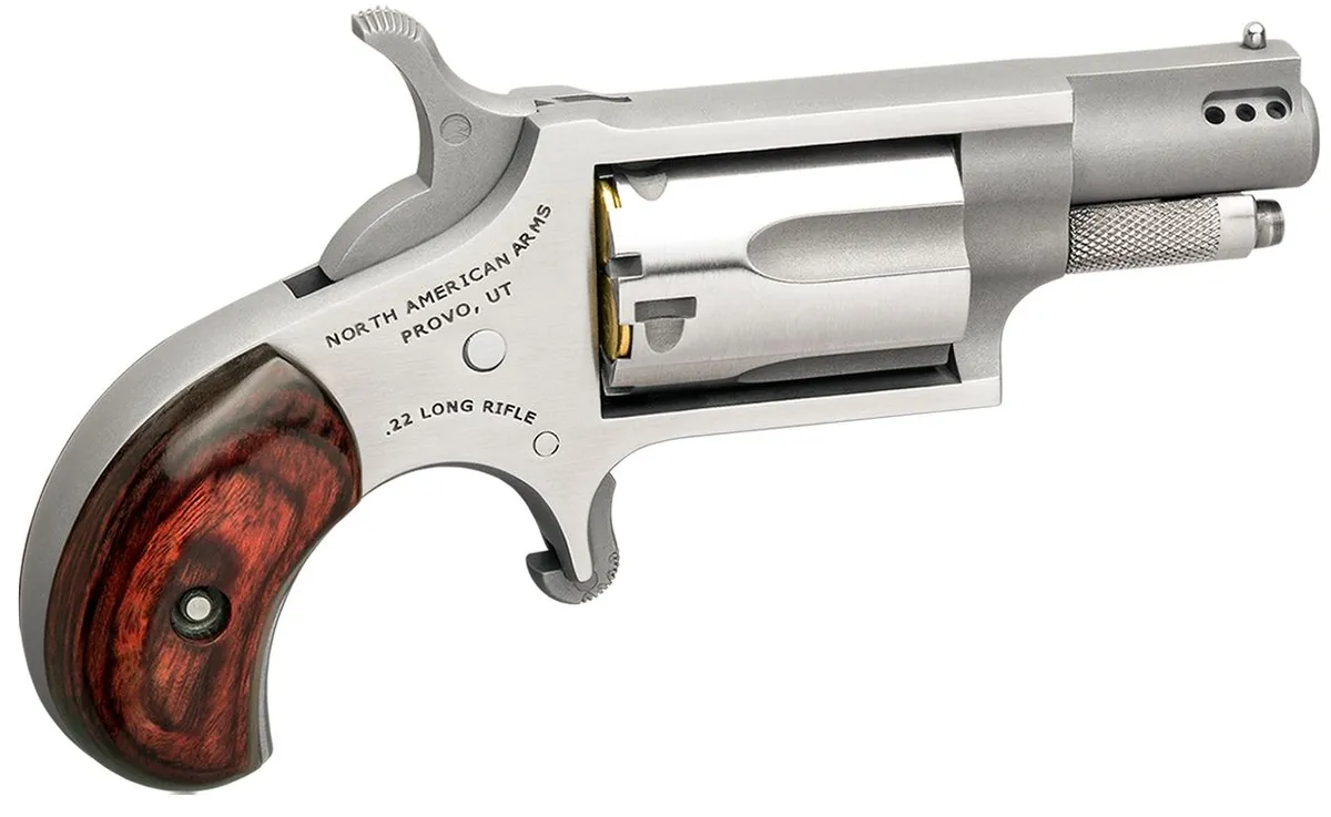 NAA-22LR-P