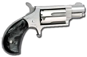 NAA-22MS-GP-B