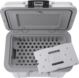 8 Quart Personal Cooler