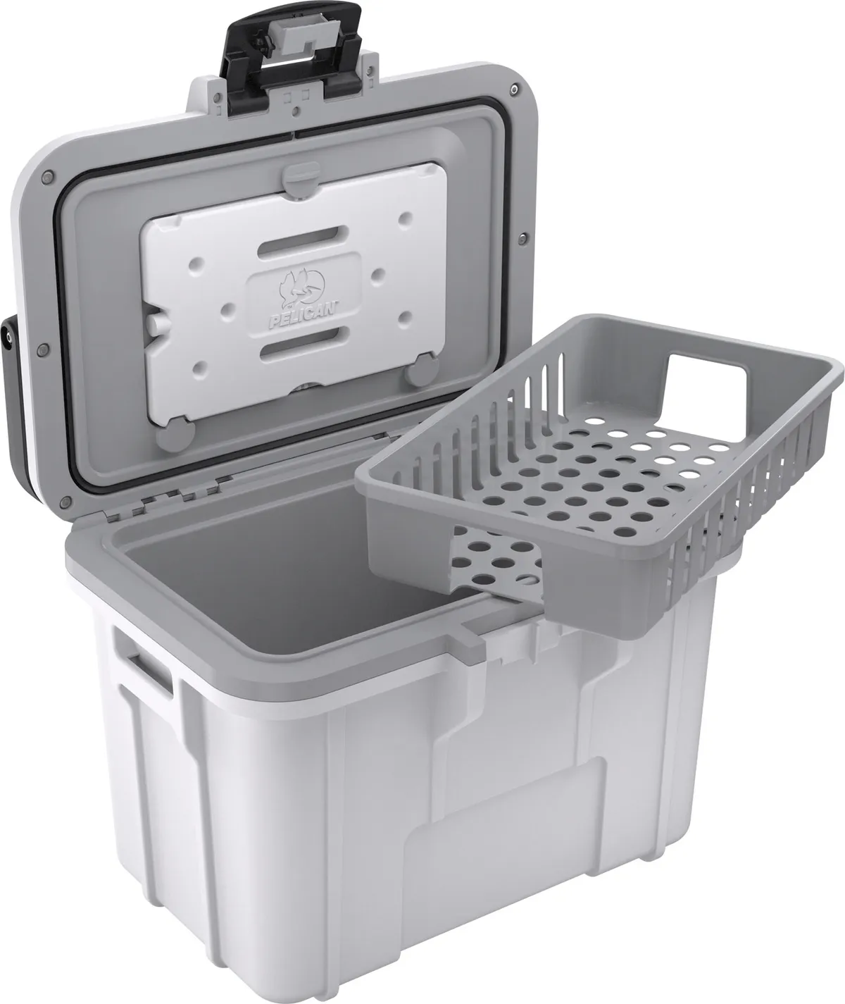 8 Quart Personal Cooler