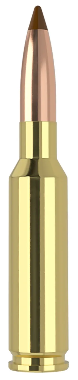 Ballistic Tip 140 gr 6.5mmX55mm Swede Rifle Ammo - 20 Round Box