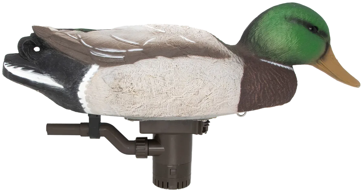 54083