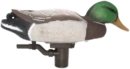 54083