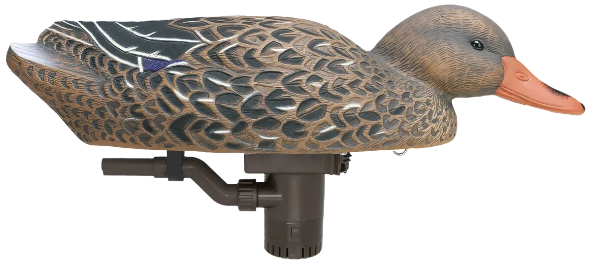 54084