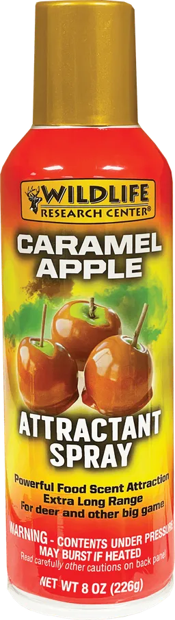 736