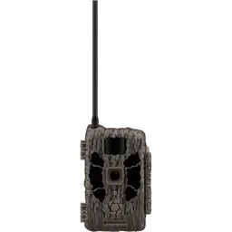 STC-DCPTRX
