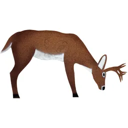 D4-ANT