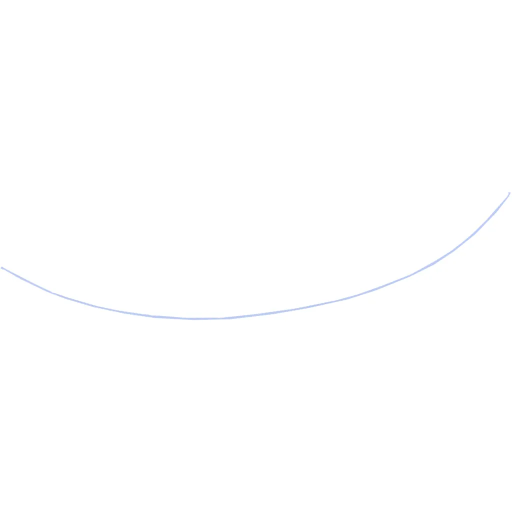 FIB-19B