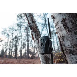 Wildgame Terra Xt 2.0 24MP Cellular Camera -3 Pack - Lifestyle
