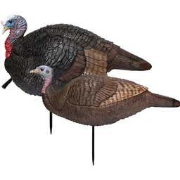 69075